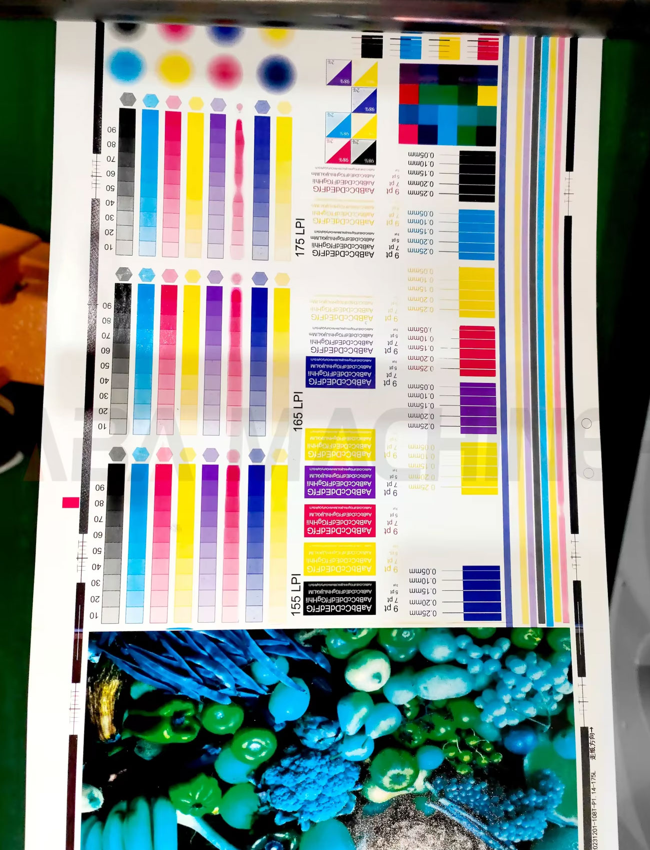 Color Daba 8-Color High-Speed Flexo Printing Machine for High-Quality Adhesive ...